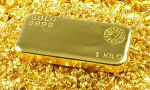شفاف‌سازی داریک از وضعیت ذخایر خود