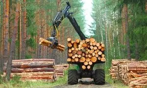 حضور پایون در نهمین نمایشگاه صنعت چوب کشور 