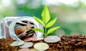 آتیه ایرانیان با طرح تترپک وارد مرحله جدید جذب سرمایه شد