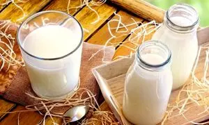 حضور دامداران در نمایشگاه بین‌المللی حلال مالزی 