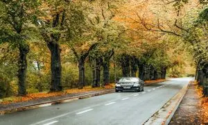 ردیابی لحظه‌ ای؛ چرا مدیران حمل‌ و نقل بدون آن تصمیم‌ گیری نمی‌ کنند؟