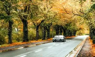 ردیابی لحظه‌ ای؛ چرا مدیران حمل‌ و نقل بدون آن تصمیم‌ گیری نمی‌ کنند؟
