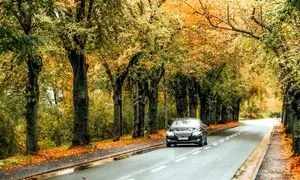 ردیابی لحظه‌ ای؛ چرا مدیران حمل‌ و نقل بدون آن تصمیم‌ گیری نمی‌ کنند؟