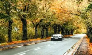 ردیابی لحظه‌ ای؛ چرا مدیران حمل‌ و نقل بدون آن تصمیم‌ گیری نمی‌ کنند؟