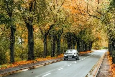 ردیابی لحظه‌ ای؛ چرا مدیران حمل‌ و نقل بدون آن تصمیم‌ گیری نمی‌ کنند؟