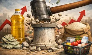 حذف ارز ترجیحی، توسعه صنعت غذا را متوقف کرد