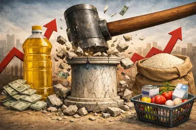 حذف ارز ترجیحی، توسعه صنعت غذا را متوقف کرد