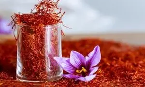 نوین زعفران 34 ساله شد
