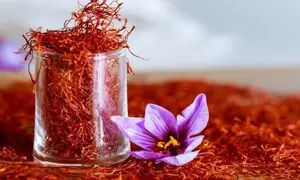 نوین زعفران 34 ساله شد