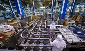 فضای کسب و کار به اصلاح ساختاری نیاز دارد