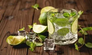 ویژگی های خاص موهیتو ماتادور که آن را به بهترین موهیتوی بازار تبدیل می کند