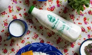 حضور آقای طبیعی، نخستین تولیدکننده لبنیات ارگانیک ایران در نمایشگاه ارگانیک ۱۴۰۴