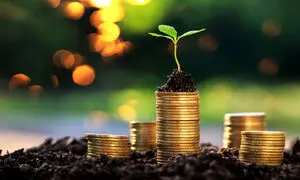 بهترین شیوه سرمایه گذاری 100 میلیون تومان پول نقد کدام است؟
