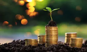 بهترین شیوه سرمایه گذاری 100 میلیون تومان پول نقد کدام است؟