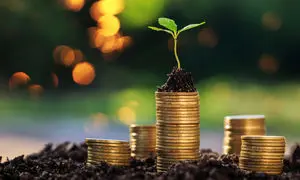 بهترین شیوه سرمایه گذاری 100 میلیون تومان پول نقد کدام است؟