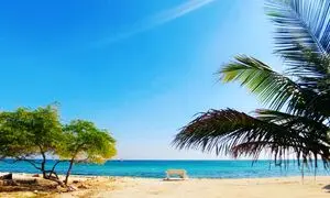 تور کیش؛ فرصتی استثنایی برای تجربه‌ای مجلل از سفر به نگین خلیج فارس 