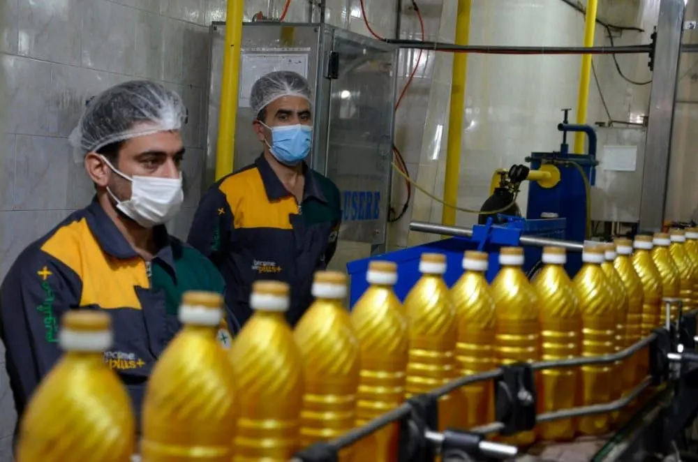 تقدیر از مدلل ماهیدشت در روز جهانی غذا