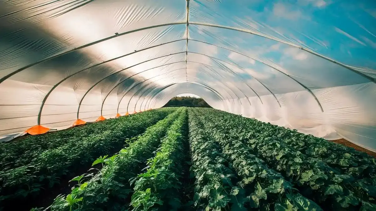 کاربردهای نایلون عریض در کشاورزی مدرن و صنعت ساختمان