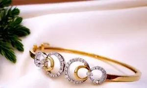 همکاری روژا و میوگلد با «۱۰ شب طلایی»