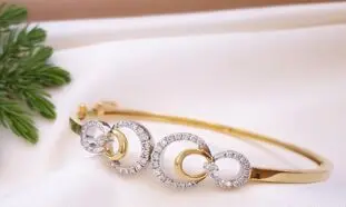 همکاری روژا و میوگلد با «۱۰ شب طلایی»