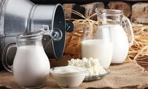 اوضاع نامطلوب شرکتهای لبنی از لحاظ سودآوری