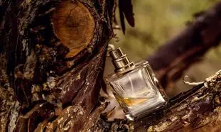 عطر تلخ مردانه؛ انتخابی استراتژیک برای جلسات کاری و مهمانی‌های رسمی